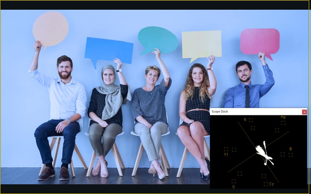 PTZ攝影機色彩校正指南 14 vectorscope B