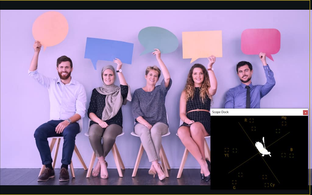 PTZ攝影機色彩校正指南 16 vectorscope R