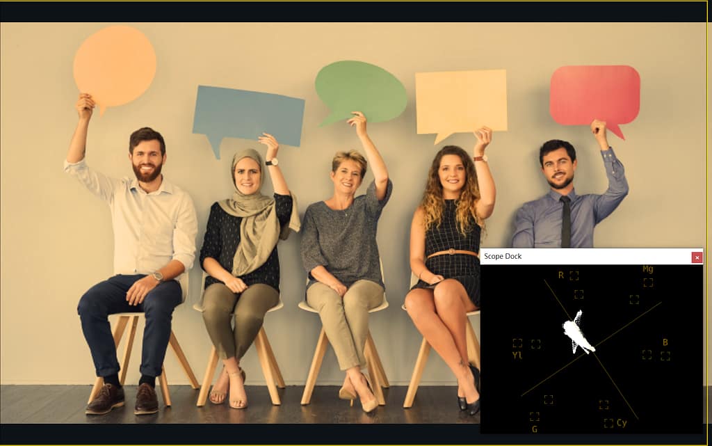 PTZ攝影機色彩校正指南 15 vectorscope YI2