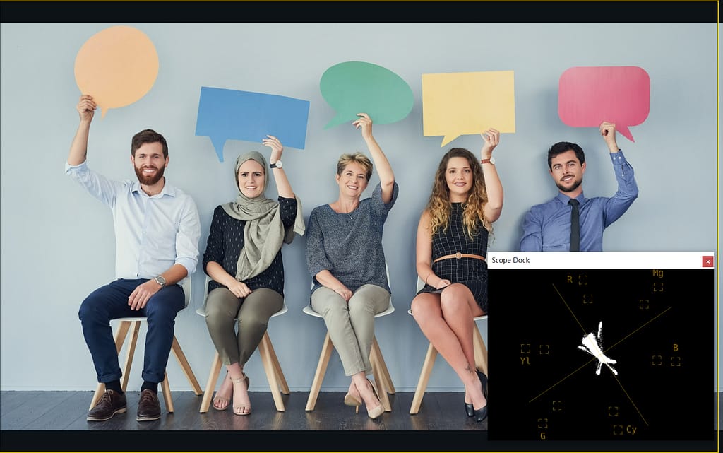 PTZ攝影機色彩校正指南 17 vectorscope nromal