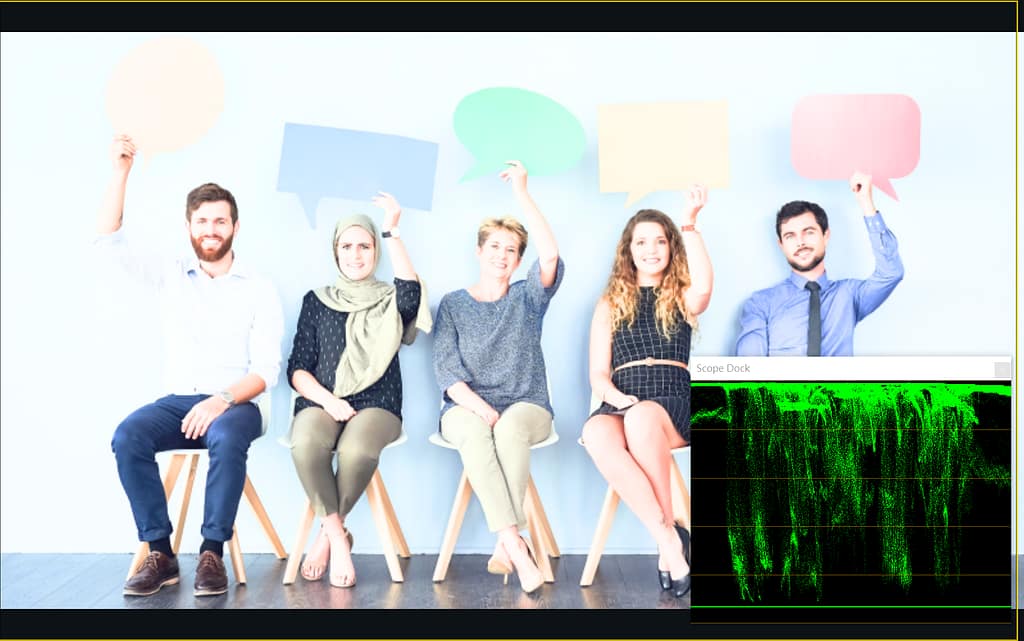 PTZ攝影機色彩校正指南 5 waveform over 1