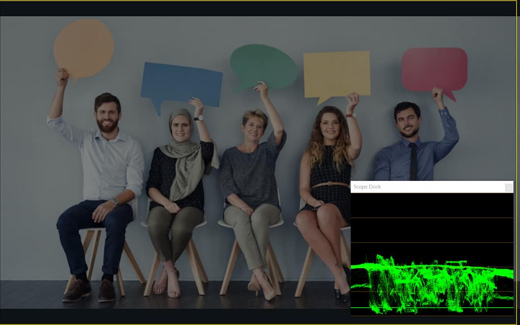 PTZ攝影機色彩校正指南 6 waveform under